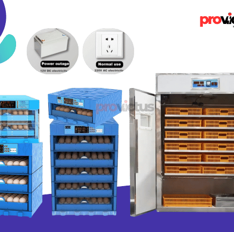 Egg Incubator