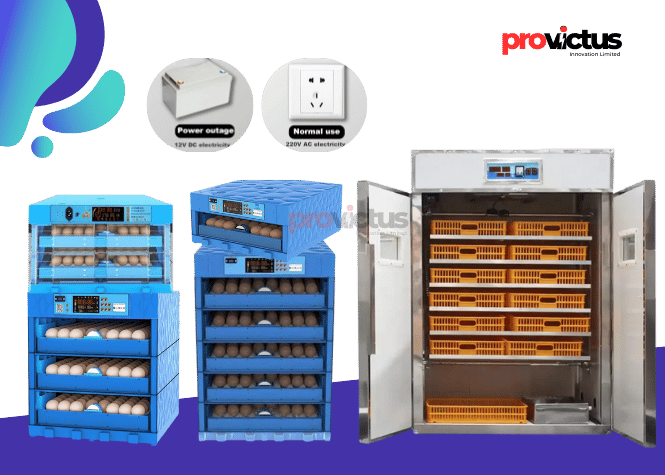 Egg Incubator